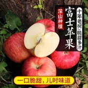 红富士苹果新鲜大果一口脆甜山区，老树当季新鲜水果4斤密农人家