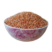 1000g广西巴马红梗米粳米糙米新米粗米杂粮红米饭五谷发芽胚芽米