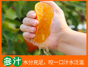 四川省眉山市核心产区自家爱媛果冻橙套袋，货橘子橙子农家超值