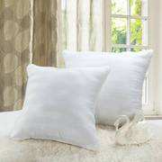 方形靠垫芯抱枕芯子，沙发靠垫内芯方垫柔软白色60大抱枕芯