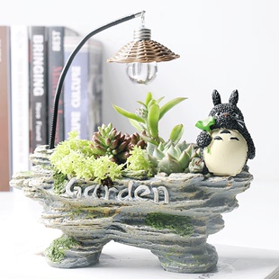 卡通龙猫树脂花盆透气大号桌面，净化空气装饰绿植花卉个性创意摆件