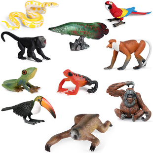 亚马逊热带雨林动物微缩场景仿真蜂鸟大嘴鸟吼猴树懒红毛猩猩玩具