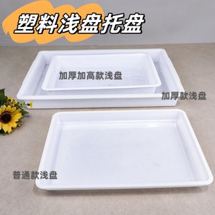 长方形塑料托盘白色餐盘收纳盘，幼儿园积木盘，展示盘冷冻浅盘接水盘