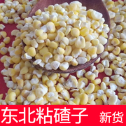 东北粘玉米碴大碴子粥新糯黏苞米糁碎非转基因粗粮芸豆农家特产
