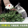 紫花苜蓿兔子兔粮饲料干草幼兔荷兰猪龙猫吃的牧草垂耳兔兔苜宿草