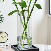 玻璃花瓶摆件客厅透明插花干花，方形直筒大号装饰花器水培富贵竹瓶
