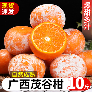 广西茂谷柑10斤新鲜沃柑当季现摘薄皮脏脏柑橘，石灰柑橘子整箱