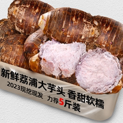 广西荔浦新鲜大芋头9斤农家特产紫藤毛芋头香芋槟榔芋蔬菜10