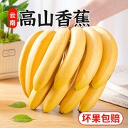 广西高山香蕉9斤新鲜当季水果整箱大芭蕉叶小米蕉甜香焦10自然熟