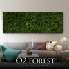 绿色森林客厅长横幅装饰画风景画沙发背景墙挂画现代轻奢墙画壁画