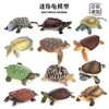静态实心仿真海洋动物龟模型迷你乌龟陆龟海龟鳖鱼缸装饰配件摆件
