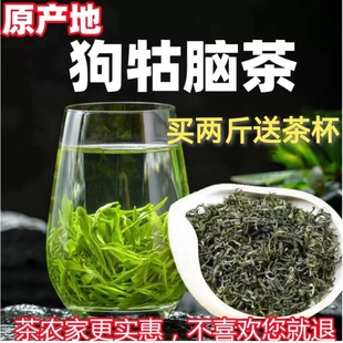 狗牯脑茶2024新茶绿茶，江西遂川高山云雾口粮，耐泡浓香型特级500g