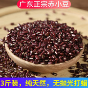 3斤广东正宗的赤小豆农家，自产纯天然长粒有机红豆赤豆杂粮用