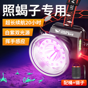 照蝎子专用395nm紫光灯强光感应头灯头戴式手电筒户外超亮可充电