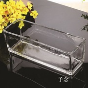 玻璃钢花箱绿箩水仙，铜钱透明长方形多功能，水培花玻璃花瓶鱼缸花盆