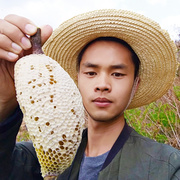 云南野生小挂蜜天然深山纯正小草蜂排蜜蜂巢蜜嚼着吃非土蜂蜜