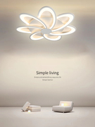 客厅灯现代简约灯具北欧创意，个性灯饰led主卧室智能吸顶灯具