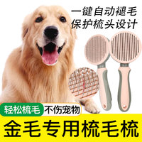 金毛专用按摩梳子宠物，狗狗中大型犬狗刷子梳毛刷去浮毛神器用品