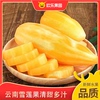 云南雪莲果黄心4.5斤装 新鲜特级当季水果雪莲果产地直发整箱
