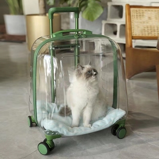 宠物拉杆箱猫包外出便携猫咪，行李箱透明大号，猫咪小推车狗狗太空舱