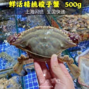 上海鲜活舟山梭子蟹母蟹红花蟹兰花蟹，白蟹大连蟹6-7两个