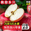 陕西洛川苹果应当季原产地，新鲜水果速发宝宝辅食整箱脆甜