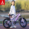 凤凰儿童自行车6-12岁女孩，中大童男孩，山地碟刹变速小学生单车20寸