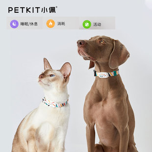 小佩宠物智能猫牌狗牌 互动APP猫咪检测穿戴设备蓝牙寻猫寻狗