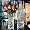 大号家用加厚透明玻璃花瓶摆件，富贵竹水培百合干花客厅餐桌插花瓶