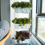阳台种菜盆立体懒人自吸水花盆家庭种植箱多层种植架种菜专用盆