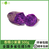 绿食者 迷你小紫薯500g 新鲜香糯小紫薯 紫地瓜红薯紫番薯紫山芋