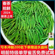 雀舌茶2024新茶特级散装500g四川茶叶峨眉高山绿茶竹叶炒青茶嫩芽