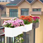 阳台花箱悬挂式花盆网红栏杆，护栏壁挂花槽户外自吸水长方形种植箱