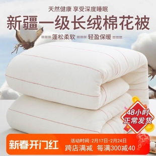 新疆一级长绒棉被纯棉花，被子棉絮床垫被褥子，秋冬被芯加厚保暖冬季