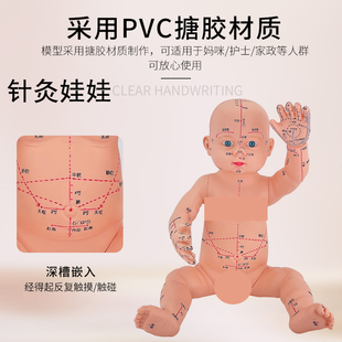 小儿推拿穴位模型中医，针灸按摩人体仿真婴儿，假宝宝带穴位娃娃