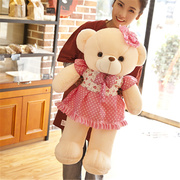 穿衣服穿裙子泰迪熊，毛绒玩具抱抱熊布洋娃娃女孩生日礼物