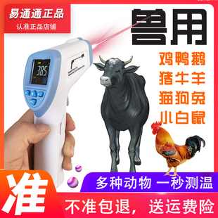 高精度兽用电子体温度计 猪用动宠物猫狗养猪场羊牛红外线1秒测量