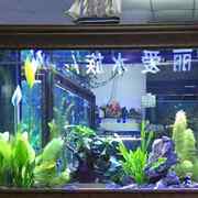 生态鱼缸玻璃仿实木纹底过滤柜免换水族箱1.2米1.8型客厅家用
