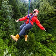 新西兰旅游 罗托鲁瓦红木森林丛林飞跃滑索Canopy Tours