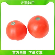 优选大红西红柿400g番茄蕃茄新鲜即食蔬菜酸甜多汁