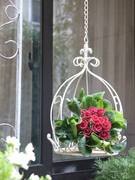 定制阳台花架悬挂吊篮壁，户外铁艺挂篮，花园装饰布置室外吊兰挂式花