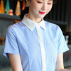 浅蓝色细竖条纹拼接撞色短袖衬衫，女夏装暗扣，职业工装打底衫