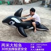 超大游泳圈海豚黑鲸鱼，冲浪网红款成人大人充气坐骑，大鲨鱼水上玩具