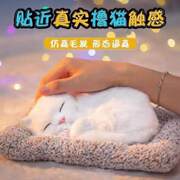 益智仿真公仔会儿童玩具猫咪可爱玩具猫猫生日礼物小猫咪叫摆件