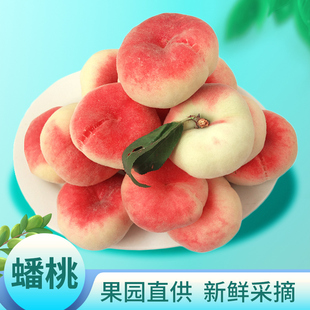 北京平谷蟠桃5斤2斤扁桃子鲜桃平谷大桃水蜜桃新鲜水果