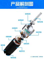 信达37无刷减速电机12V24V直流慢速电机微型无刷调速电动机小马达