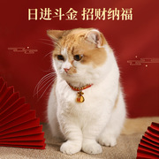 猫咪铃铛项圈新年红绳可调节小型犬幼猫编织颈圈宠物脖子饰品项链