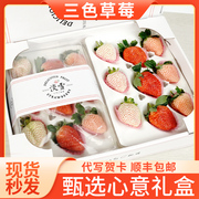 淡雪白草莓情人节礼物新鲜水果送女朋友送闺蜜礼盒装三色奶油草莓