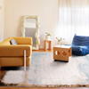 dammi土耳其进口客厅卧室沙发，地毯轻奢风，茶几床边毯