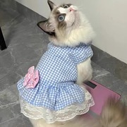 猫咪衣服夏季薄款宠物蓝猫英短幼猫公主，蕾丝裙宠物狗狗小型犬裙子